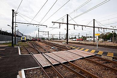 GOG喜加一：《精灵与橡木之歌》免费领取